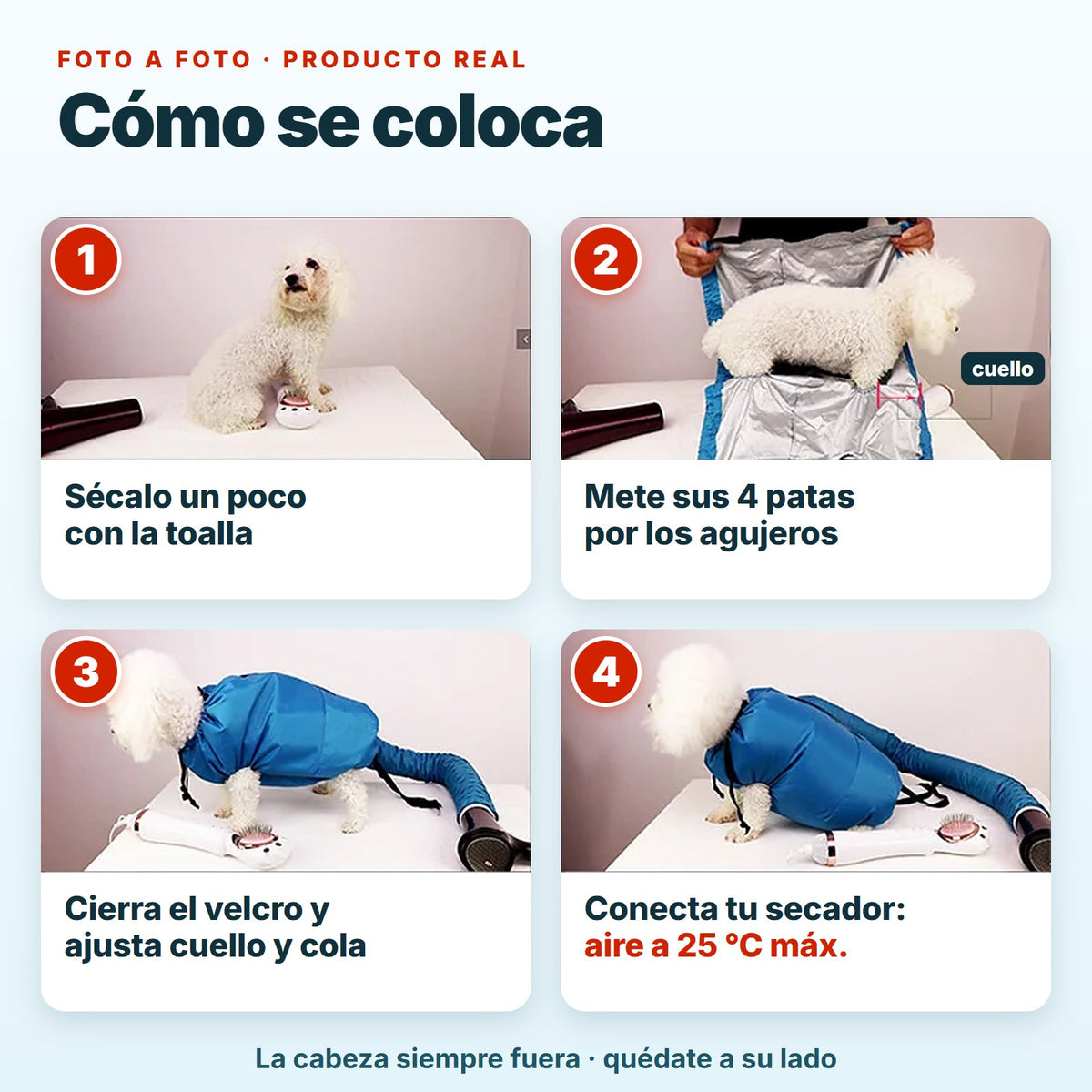 Cómo se coloca la bolsa de secado en 4 pasos, con fotos reales del producto