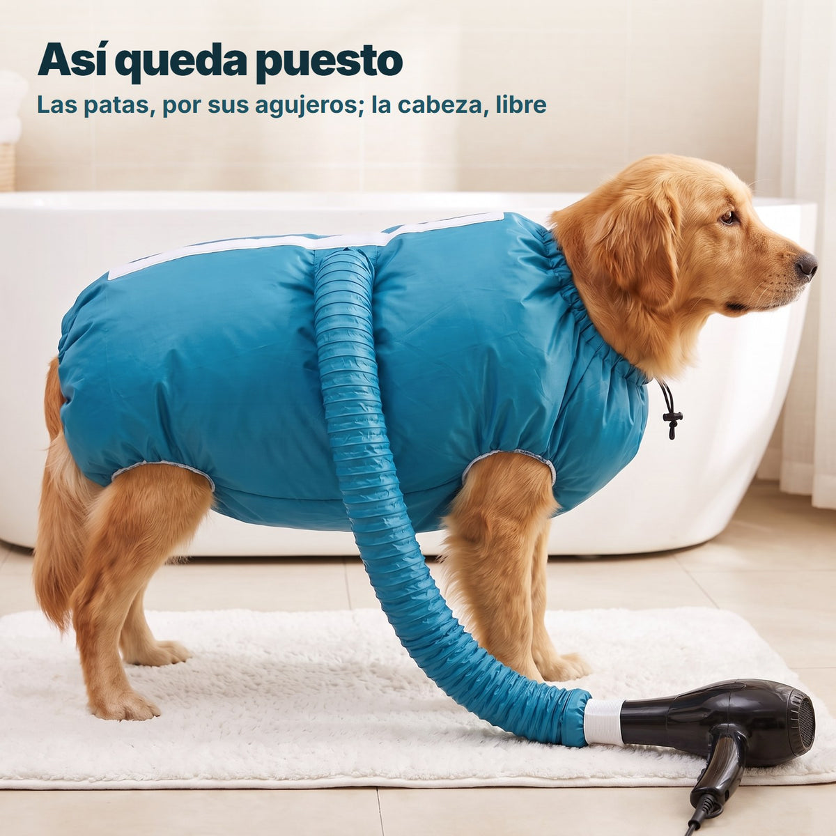 La bolsa de secado puesta, de perfil: las patas salen por sus agujeros y la cabeza queda libre
