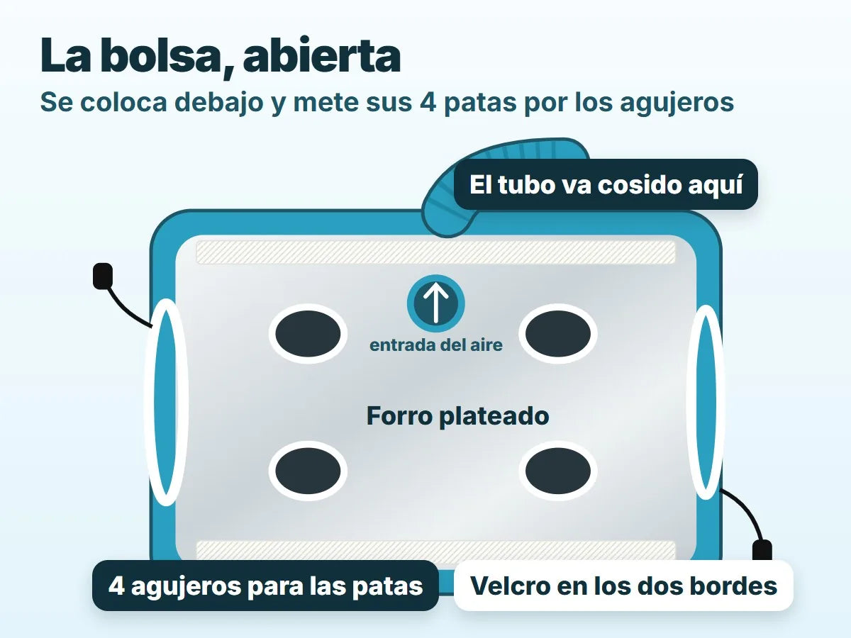 Mete sus 4 patas